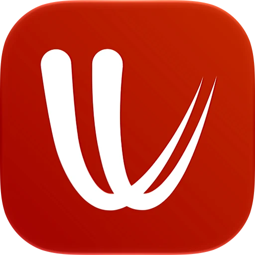 Windy app icon