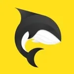 WoodooChat app icon