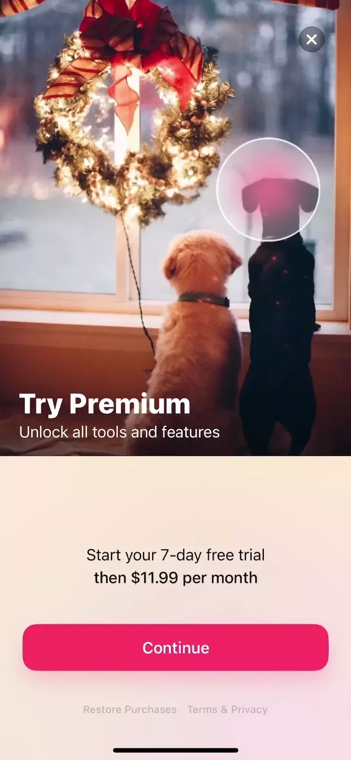 Bazaart paywall screen