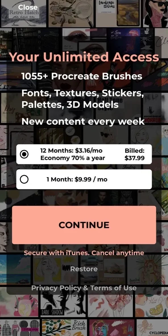 Brushes paywall screen
