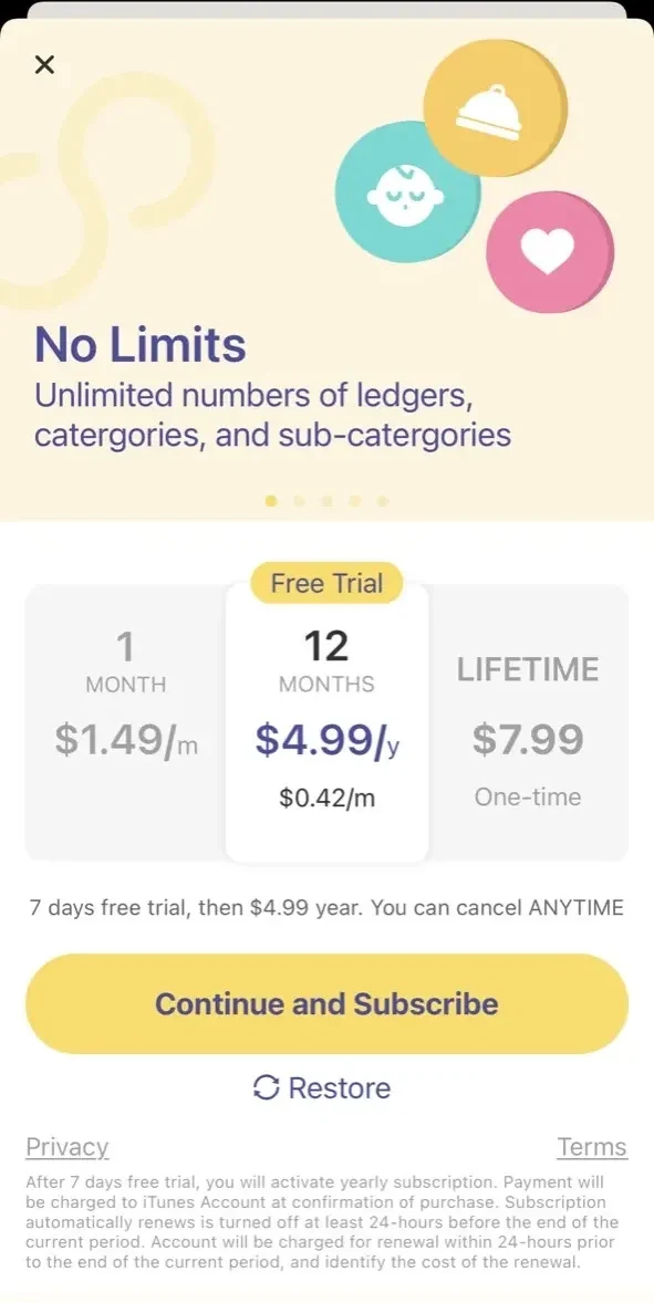 Budget App paywall screen