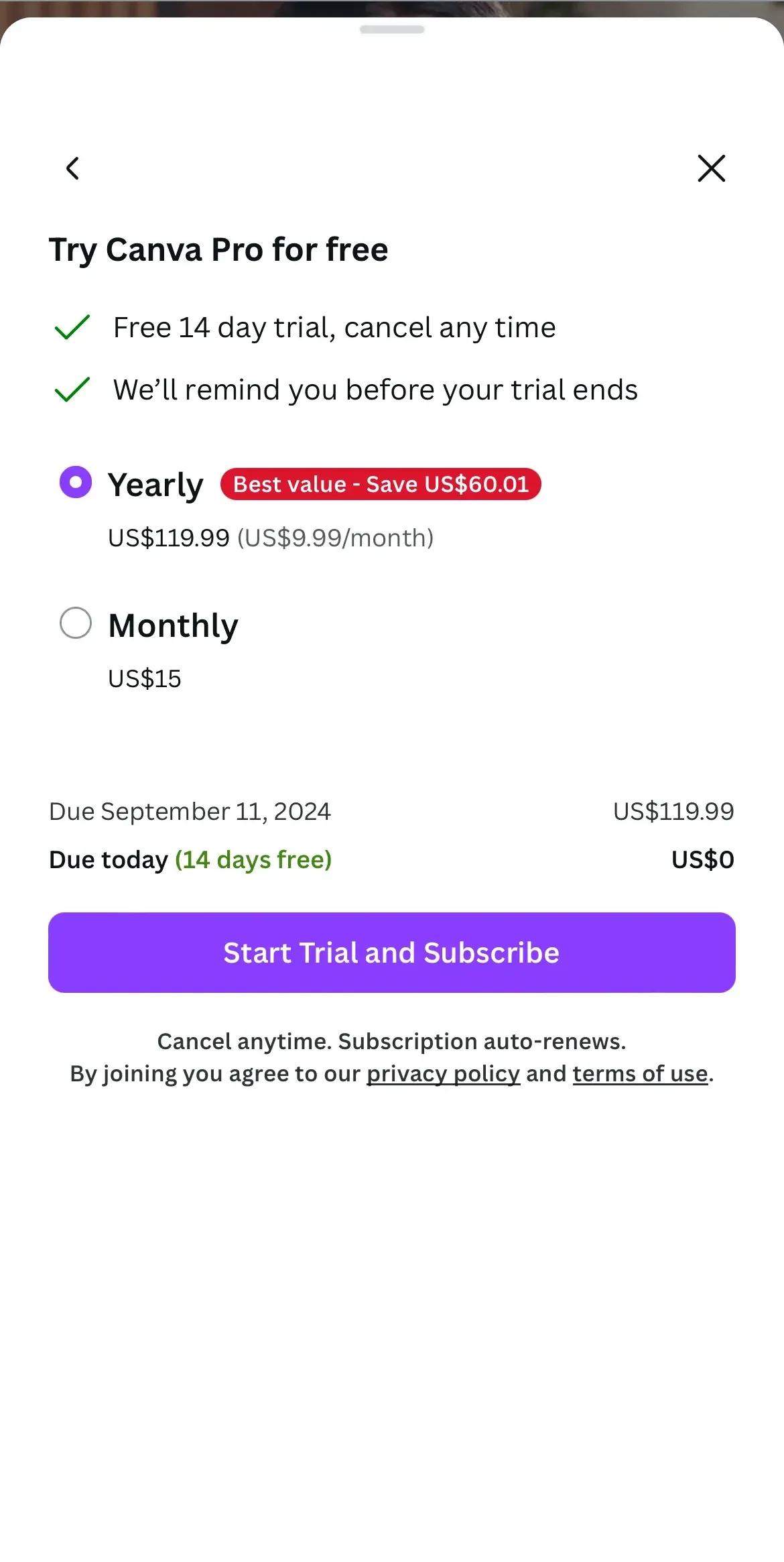 Canva paywall screen