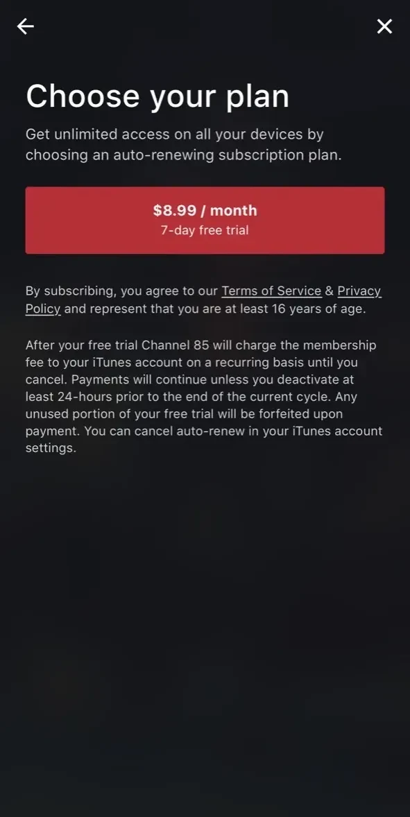 Channel 85 paywall screen