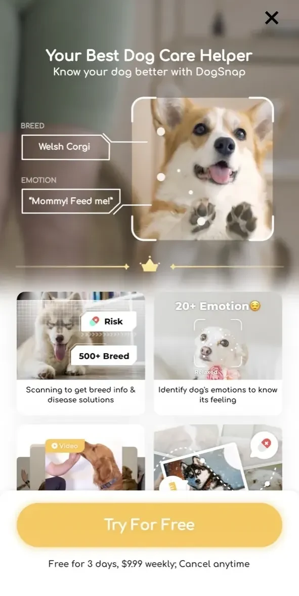 DogSnap paywall screen