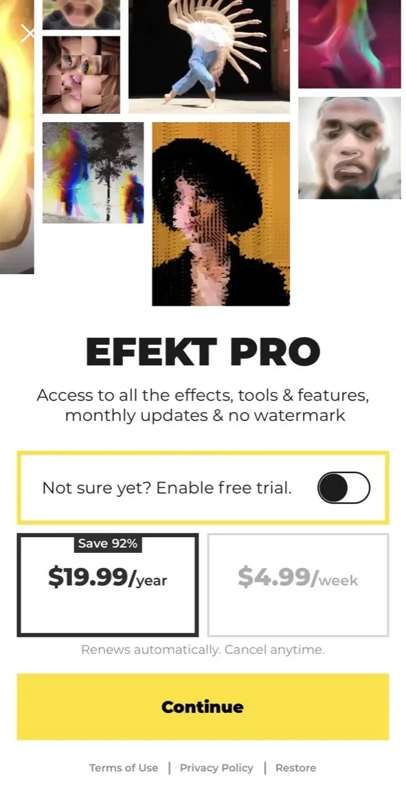 Efekt Video Effects paywall screen
