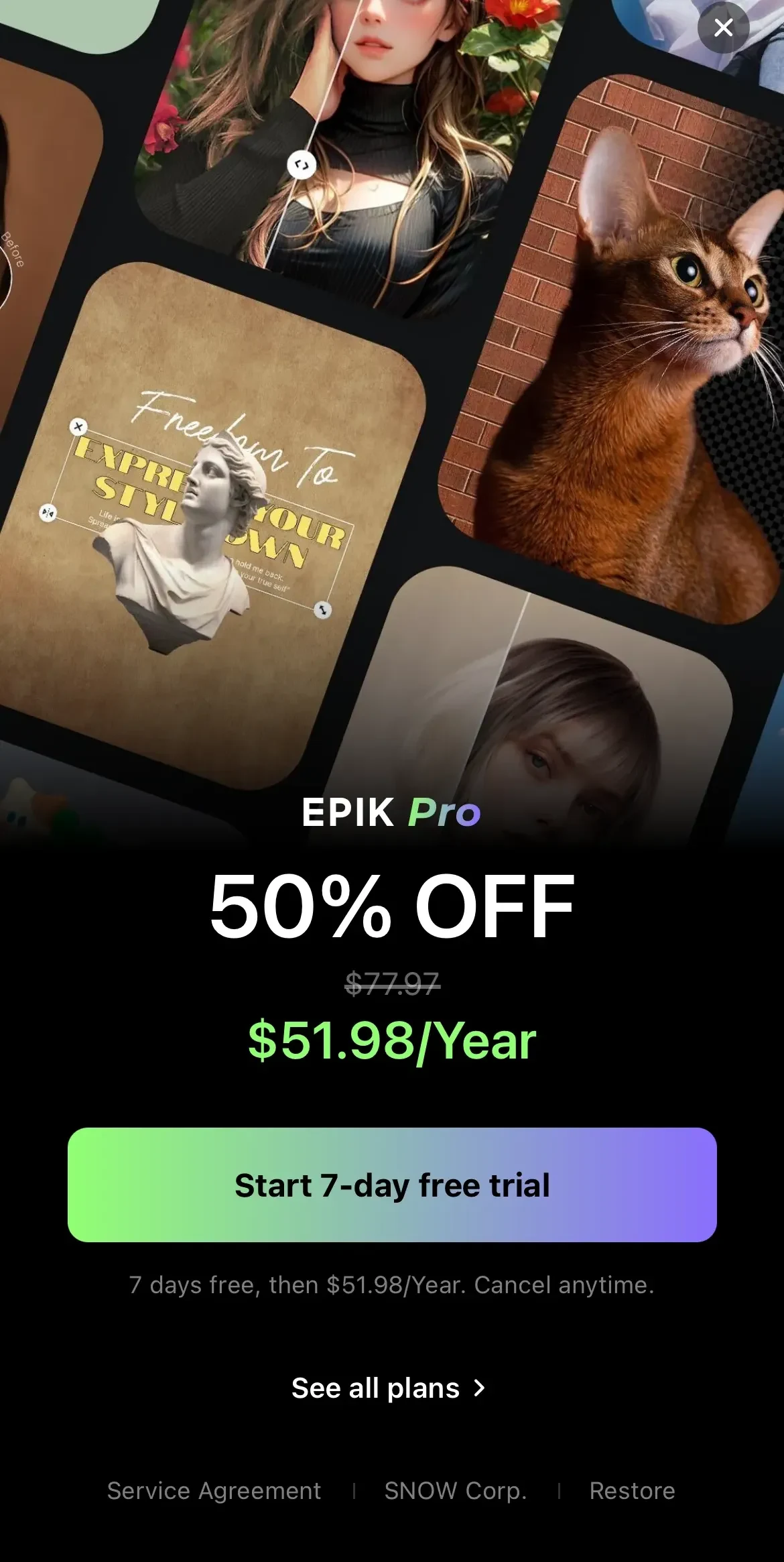 EPIK paywall screen