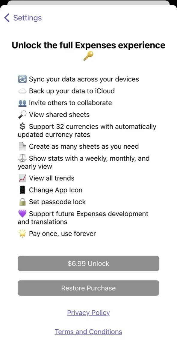Expenses paywall screen