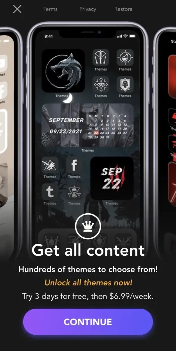 Fancy Themes paywall screen