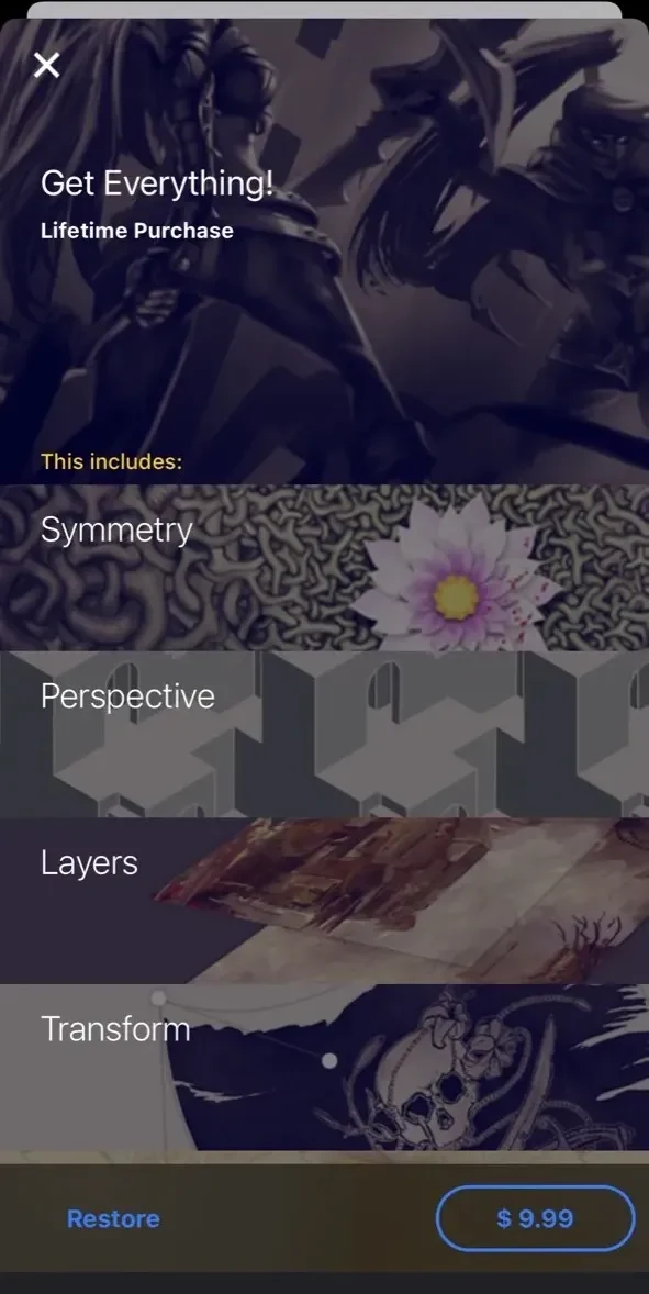 Infinite Painter paywall screen