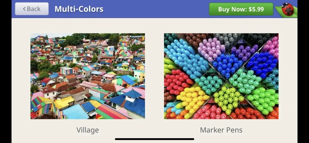 Jigsaw Bug paywall screen