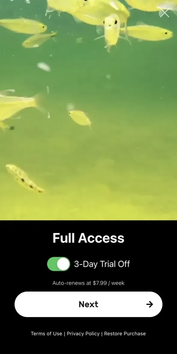 Live Wallpaper paywall screen