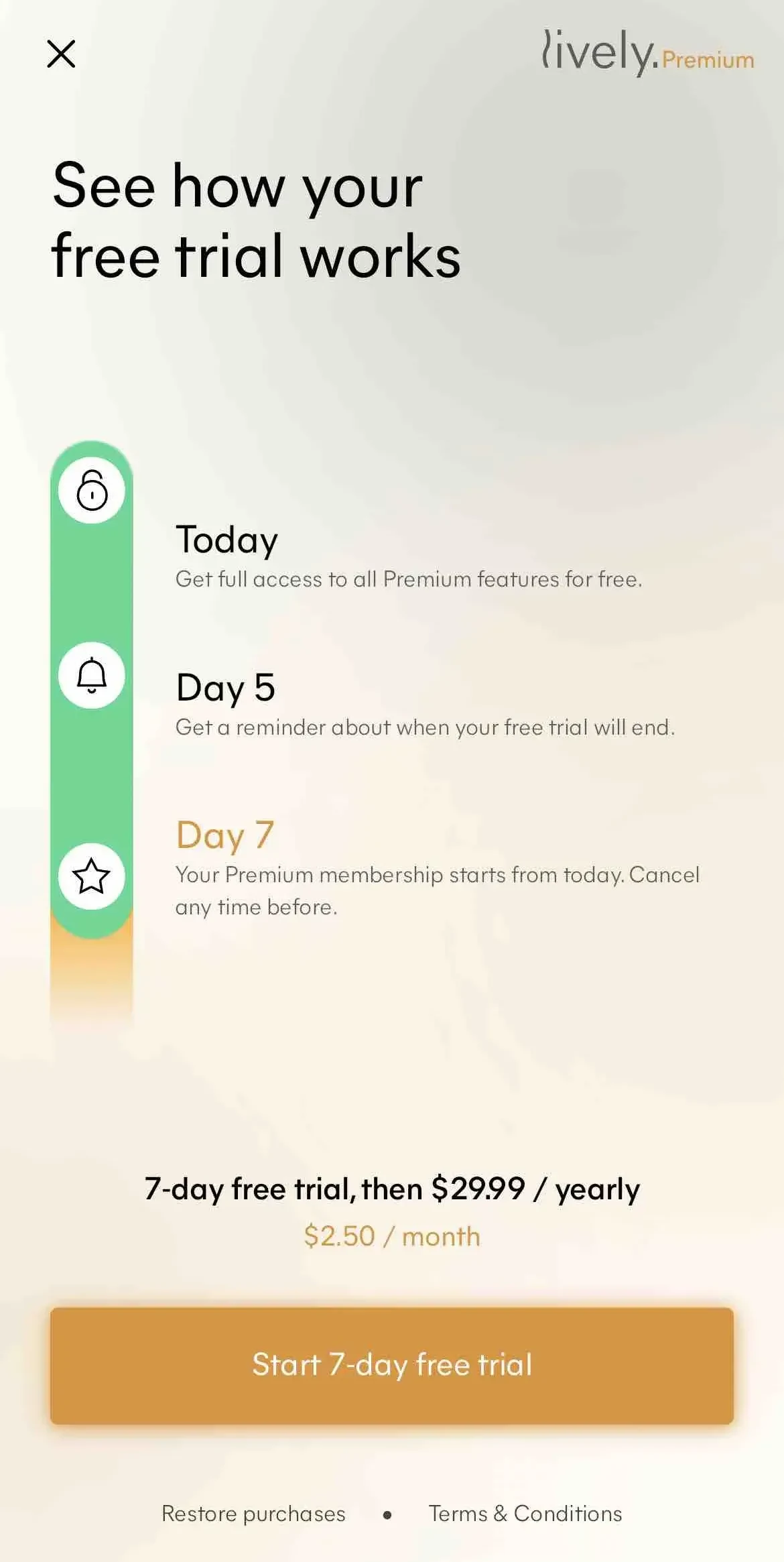 Lively paywall screen