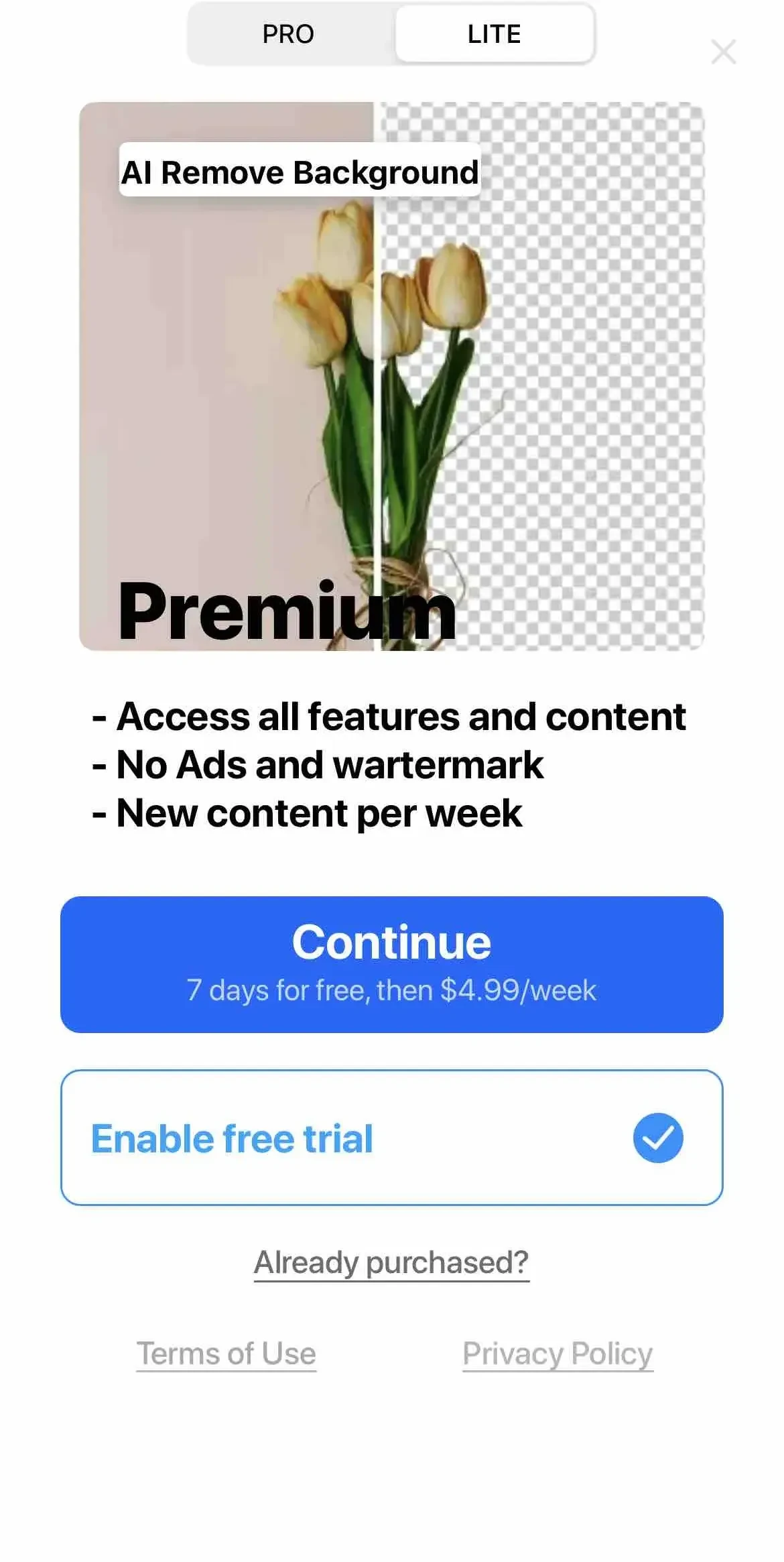 Photo Editоr paywall screen