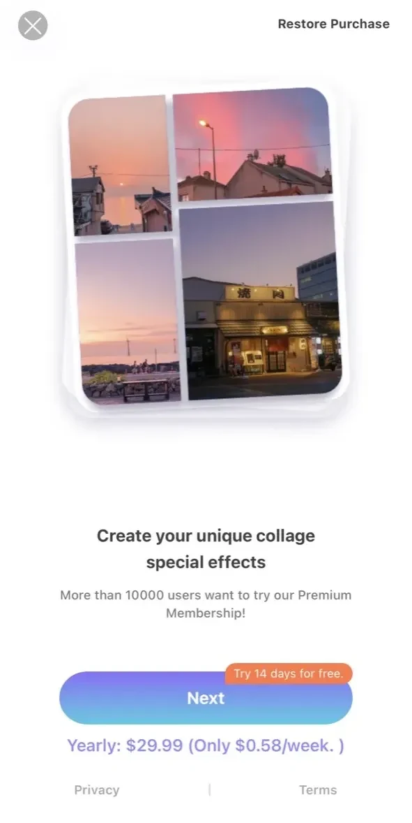 Pic Puzzle Pro Collage Layout paywall screen