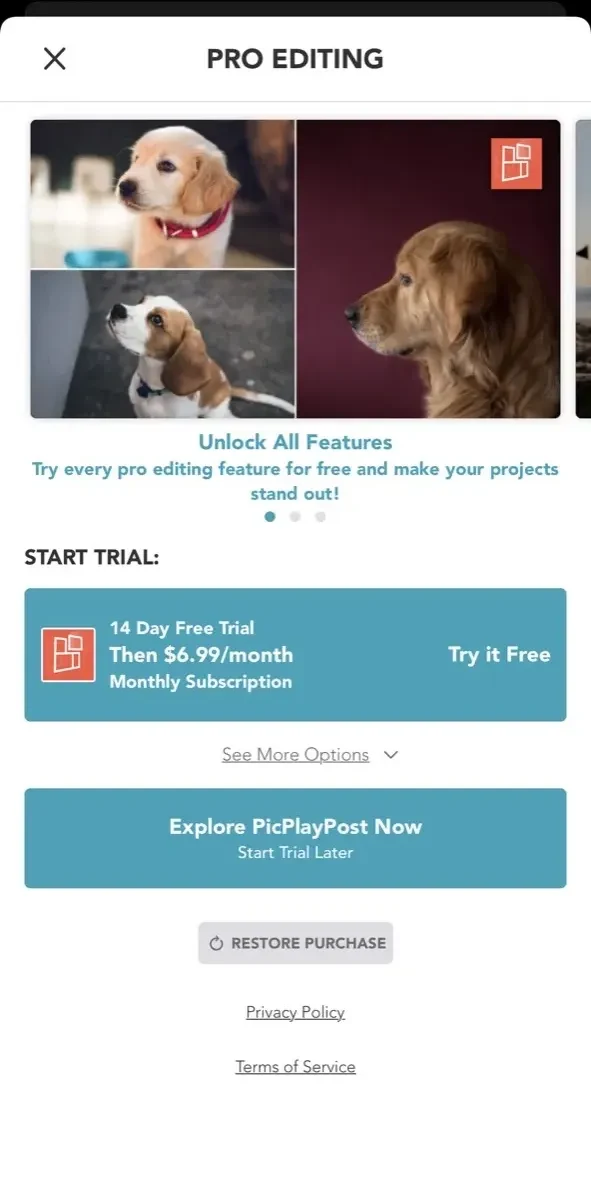 PicPlayPost paywall screen