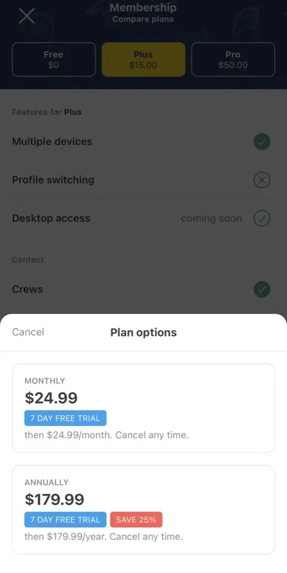 Pin Drop paywall screen