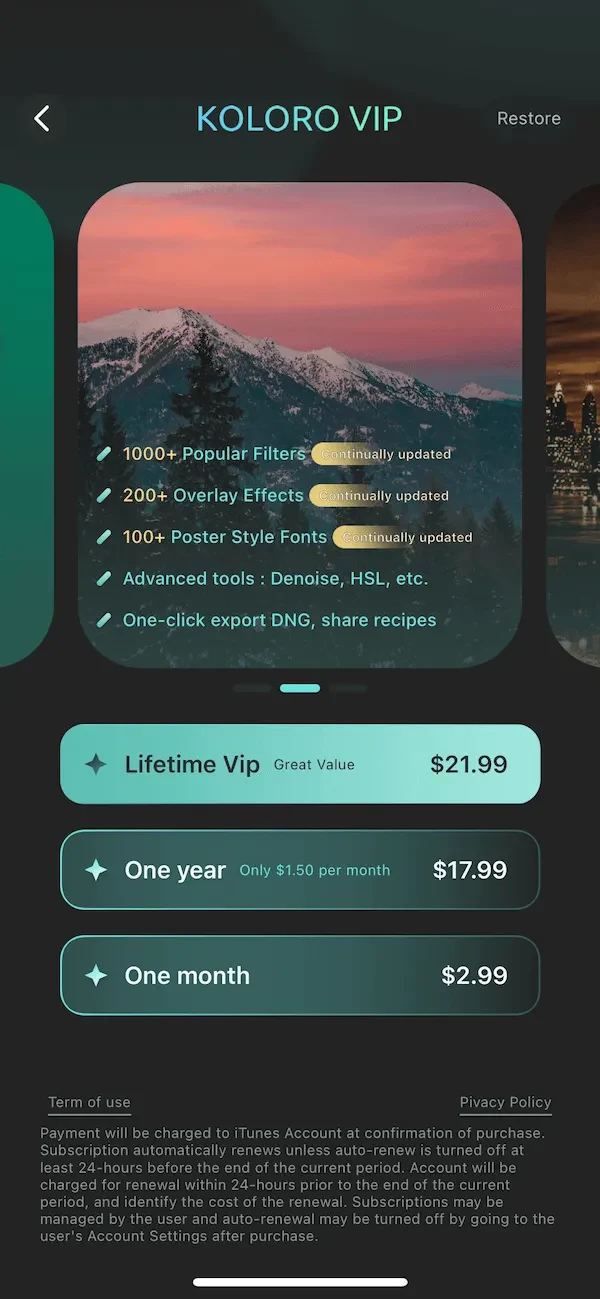 Presets & Filters paywall screen