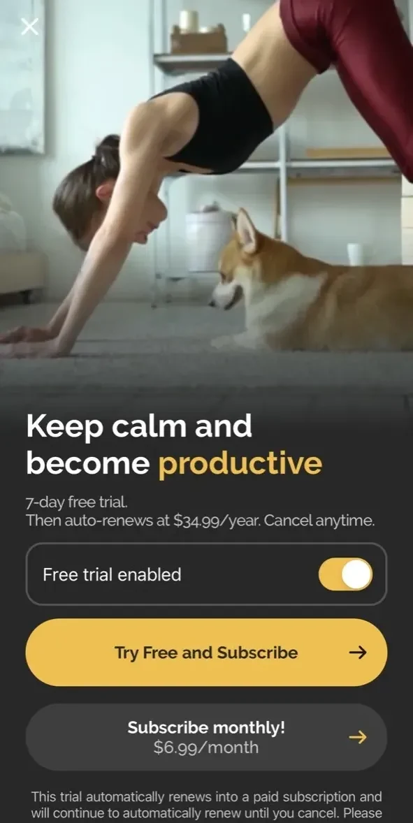 Productive paywall screen