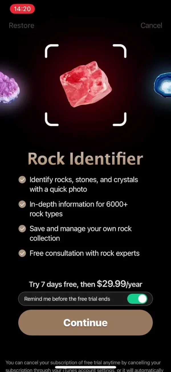 Rock Identifier paywall screen