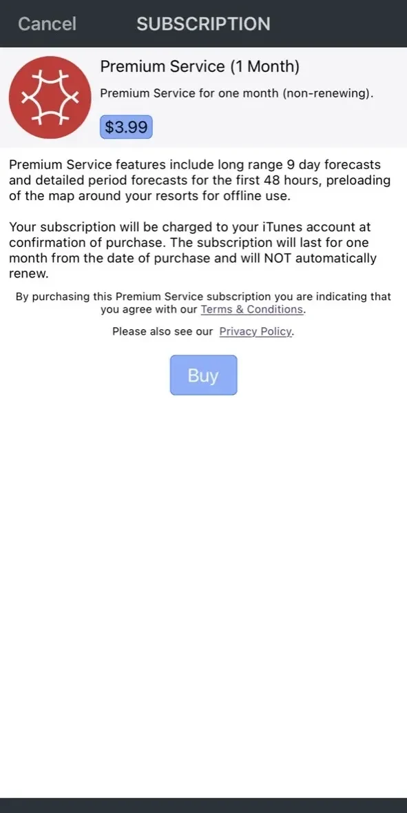 Snow paywall screen