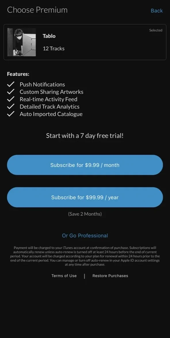 Songstats paywall screen