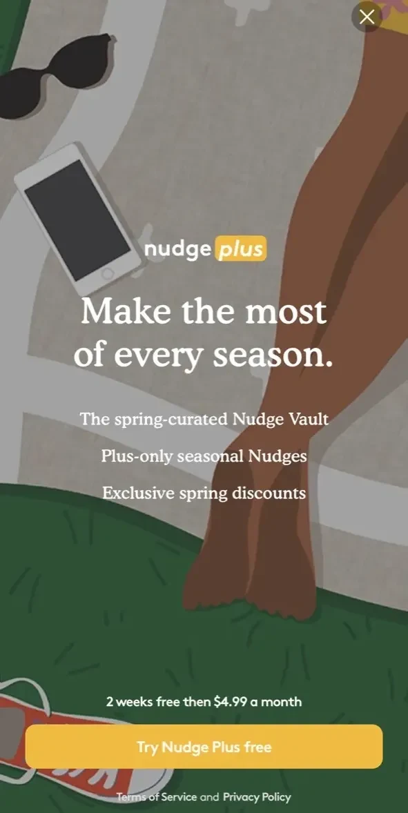 The Nudge paywall screen