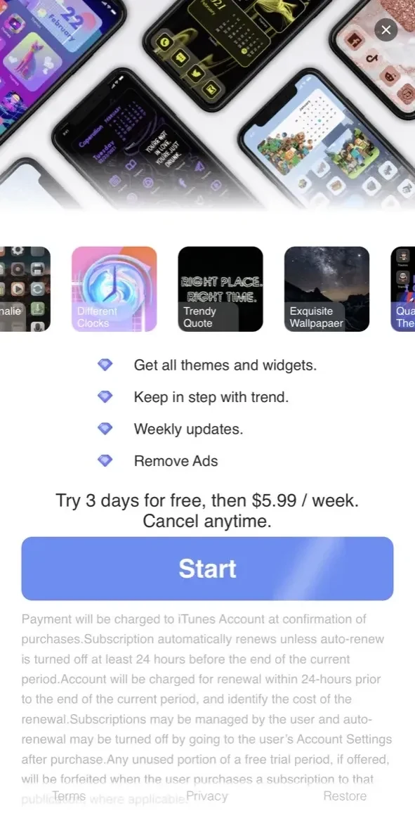Themes paywall screen