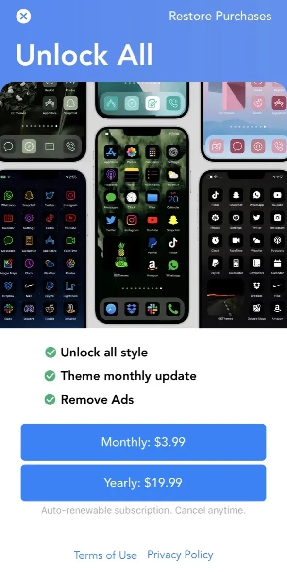 Themes paywall screen