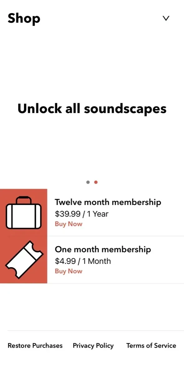 Travelear paywall screen