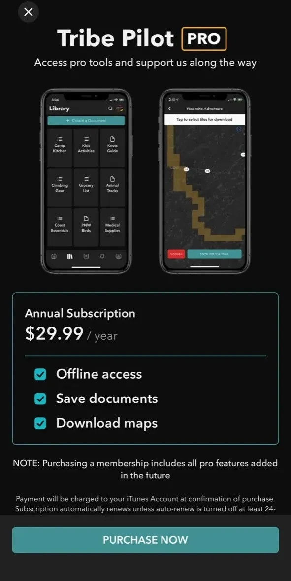 Trip Pilot paywall screen