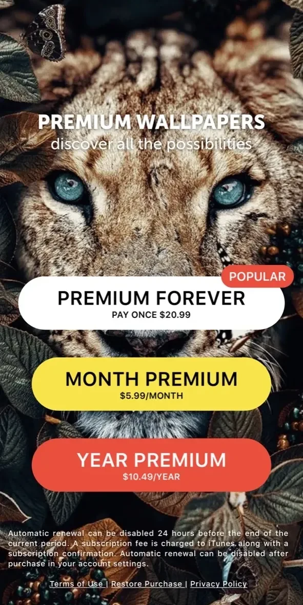 Wallpaper paywall screen
