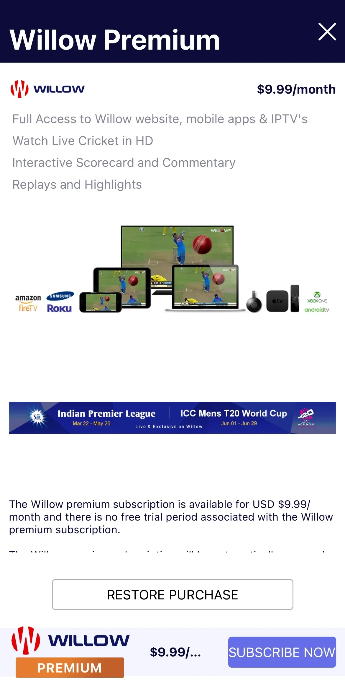 Willow paywall screen