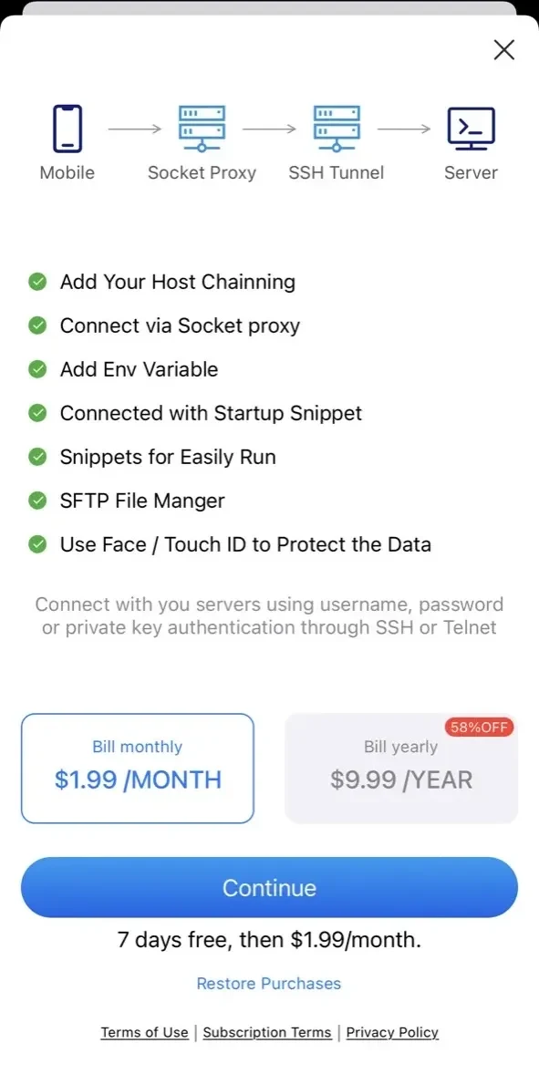 xTerm256 Terminal paywall screen